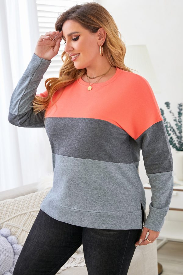 Gray Crew Neck Colorblock Plus Size Sweatshirt - Image 3