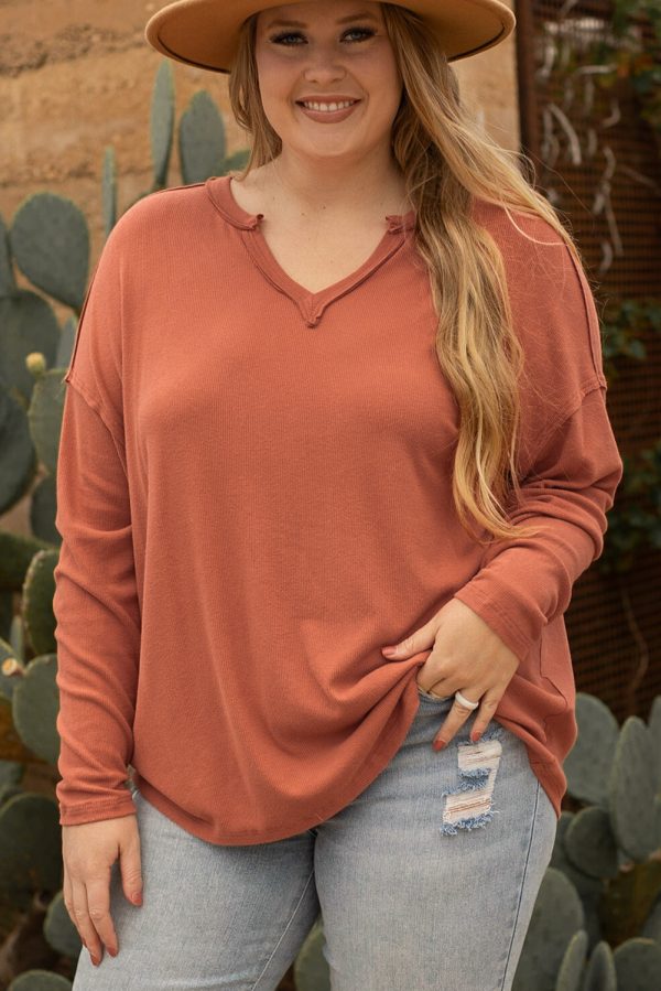 Gold Flame Plus Size Exposed Seam V Neck Long Sleeve Top