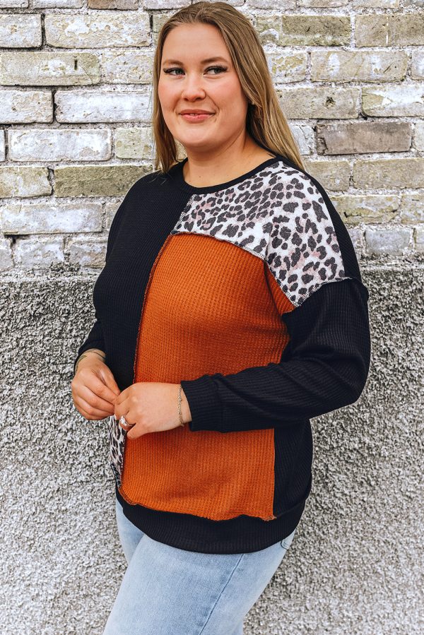 Black Orange Colorblock Leopard Patchwork Waffle Knit Plus Size Top - Image 3