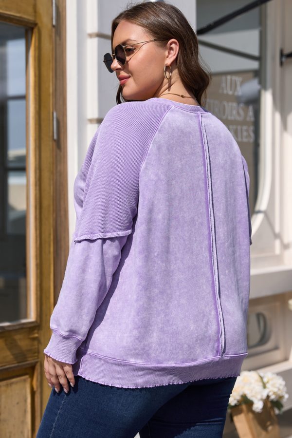 Orchid Petal Textured Patchwork Frilled Trim Plus Size Pullover Sweatshirt - Image 2