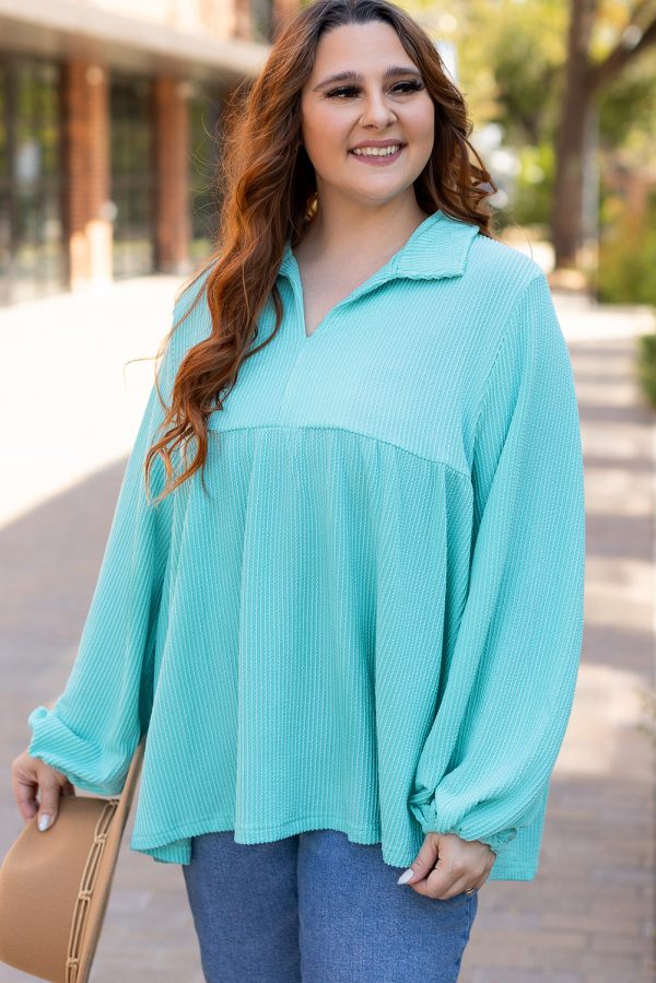 Turquoise Cordrd Balloon Sleeve Collar Plus Babydoll Top - Image 3